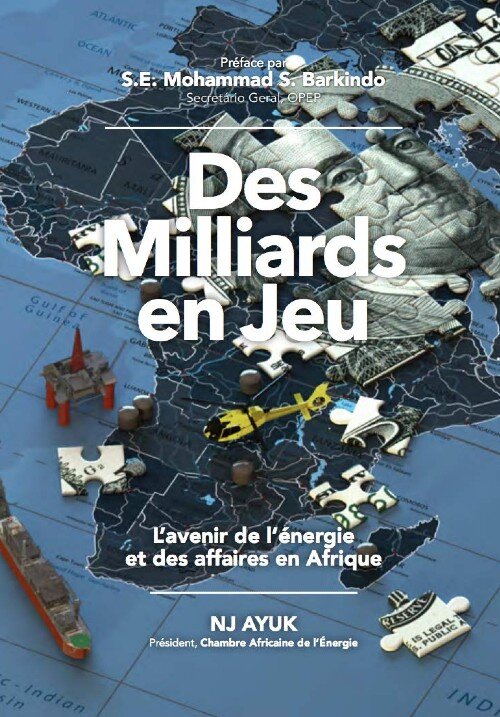 Des Milliards En Jeu: L’Avenir de l’Énergie Et Des Affaires En Afrique (French Edition)