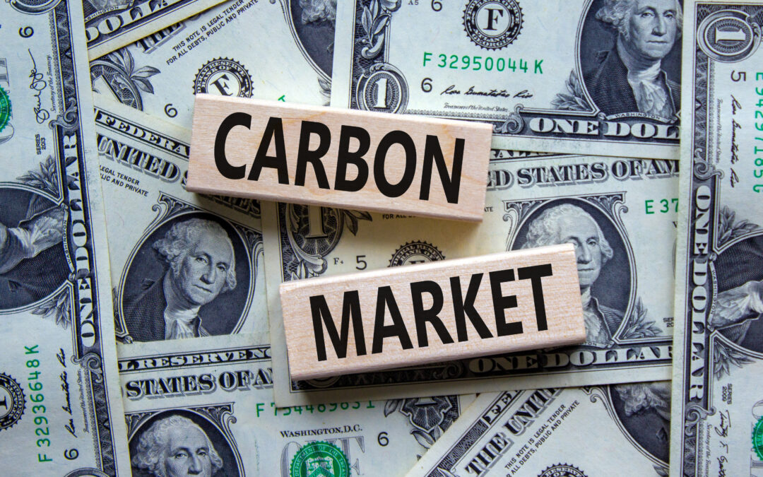 Afrika muss sich Carbon Trading zu eigen machen